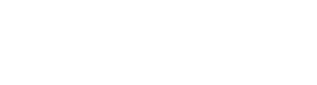 Vega-checkout-1024x274 copiar